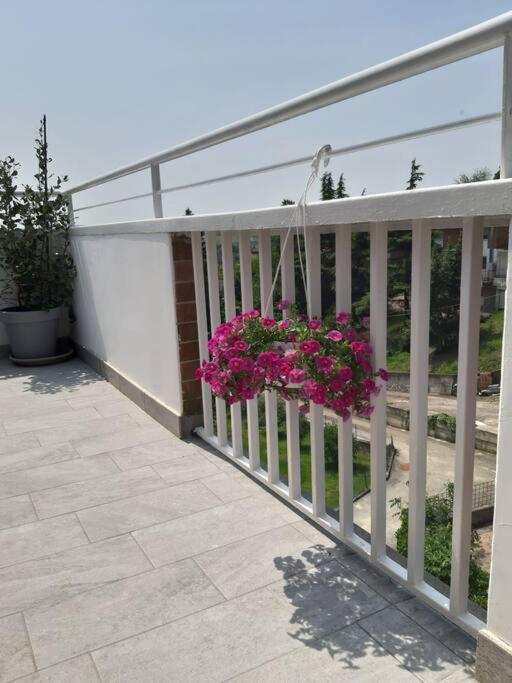 Appartement Casa Tra I Castelli à San Martino Alfieri Extérieur photo